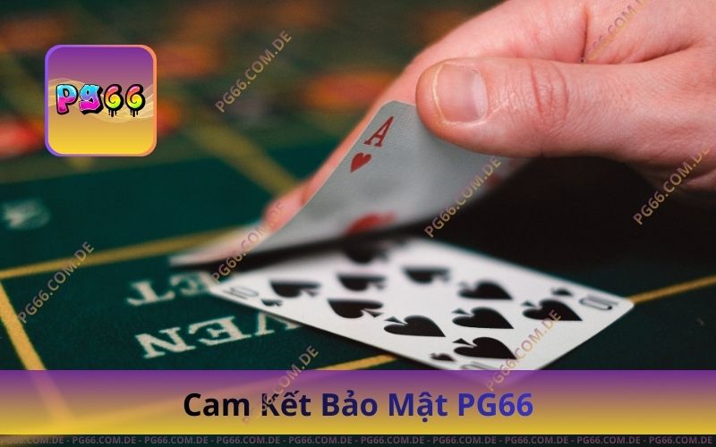Cam Kết Bảo Mật PG66 Với Chuẩn An Toàn Quốc Tế